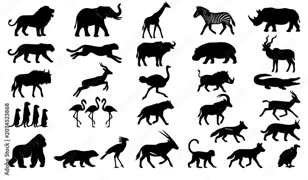Fototapeta premium African Wildlife Silhouette Vector Set with Savanna Animals and Nature Conservation Icons