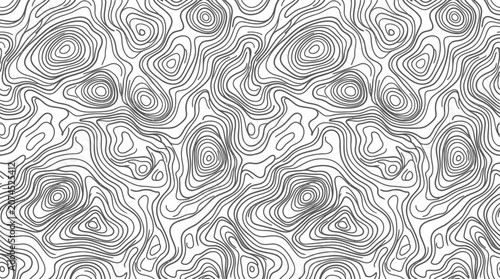Abstract Topographic Map Pattern, Contour Lines, Organic Shapes, Black and White