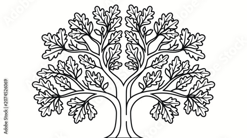 Black and white oak tree leaf foliage line art illustration on white