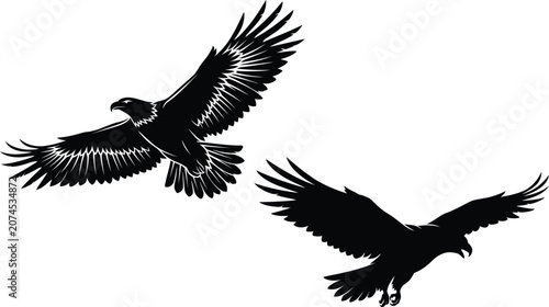 Foto Detailed set of 2 majestic eagle vector illustrations showing aggressive flying