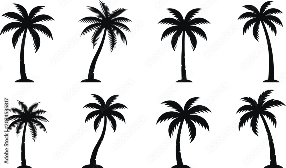 Fototapeta premium Black and white palm tree set in four rows