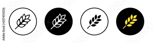 Obraz na plátně Wheat icon with durum wheat pasta label, bakery logo and healthy cereal symbol v