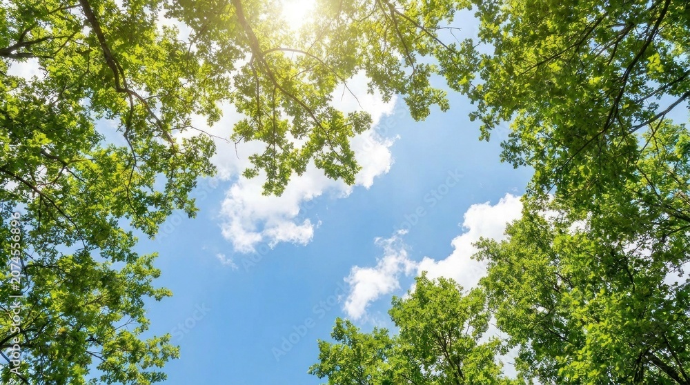 Fototapeta premium A serene forest scene with a clear blue sky and lush green trees, casting a warm glow from the sun through the leaves.