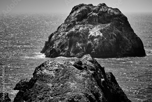Canvas Print birds roosting on large ocean rocks