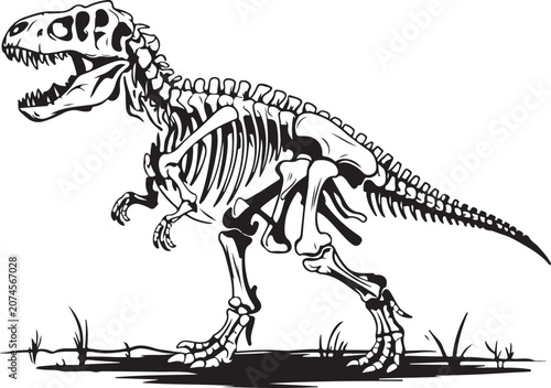 Skeleton of a running tyrannosaurus rex dinosaur