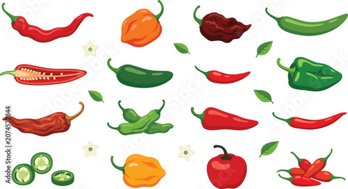 Quadro su tela Hot chili peppers variety vector illustration icon set featuring jalapeno habane