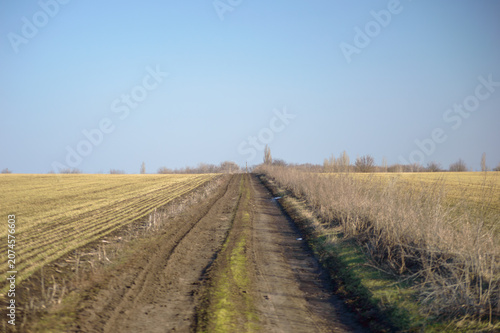 dirt road through fields and fields