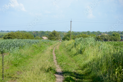 road in the field