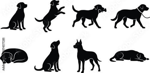 Foto Labrador retriever and domestic dog silhouettes set in various poses including s