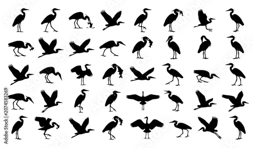 Foto Black Heron Silhouette Set with Elegant Wading Bird Vector Collection