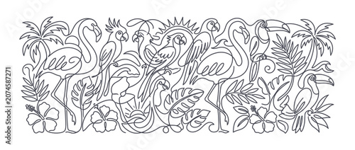 Tropical jungle birds and flora line art horizontal banner.