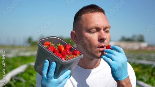 Commercial close-up shot of a male farmer with closed eyes tasting a delicious fresh ripe strawberry from a full container on an agricultural field.