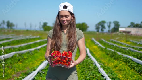 Commercial shot of a smiling female agricultural worker standing in the middle of a green plantation field and holding plastic containers full of fresh ripe strawberries.