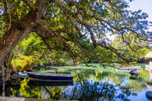 Bateaux de Pêche dans le port de Trou d'eau Douce, Ile Maurice, Océan Indien, Afrique