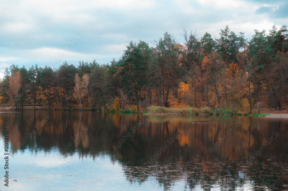 Obraz premium autumn trees reflected in water