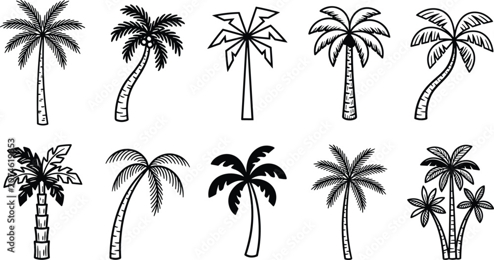 Fototapeta premium Various styles of palm trees isolated on white background