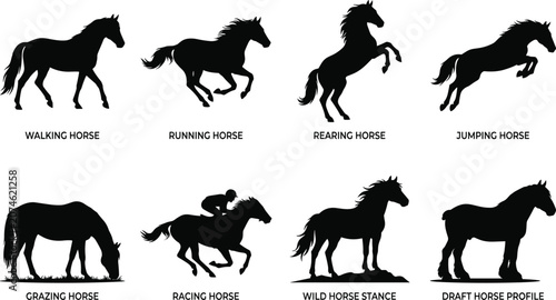 Canvas Print Horse Silhouettes Set with Various Poses and Actions