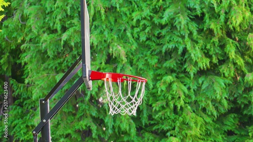Basketball hoop system with orange rim against green tree foliage