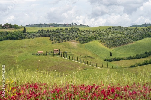 Tableau sur toile Idylle im Val d‘Orcia, Toskana (Italien) - Hügel und Täler rund um Monticciello
