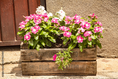 Una caja de madera con flores naturales sus vetas visibles, su tacto cálido y ese aire artesanal se convierte en un pequeño escenario donde las flores naturales respiran y se expanden.