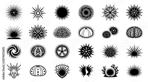 Foto Sea Urchin Vector Illustration Collection with Marine Ocean Spine Silhouettes Is