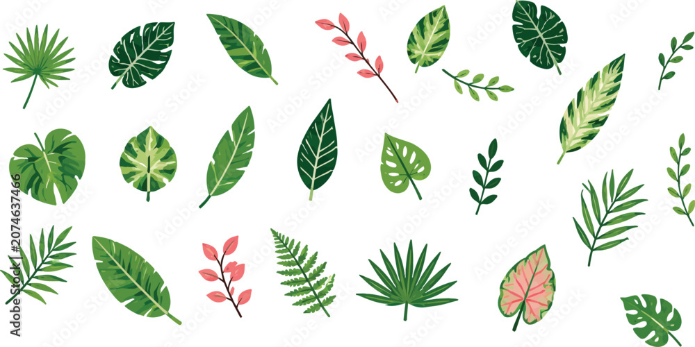 Fototapeta premium Set of colorful tropical leaves and plants