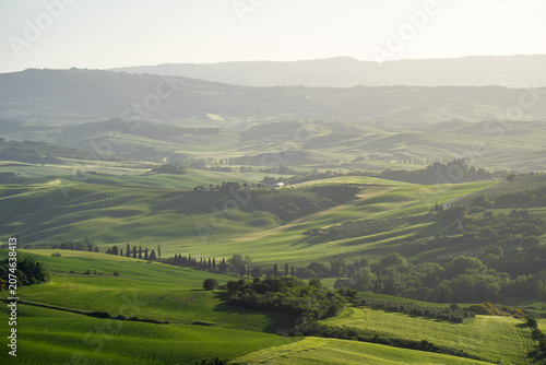 Quadro su tela Idylle im Val d‘Orcia, Toskana (Italien) - Hügel und Täler rund um Monticciello