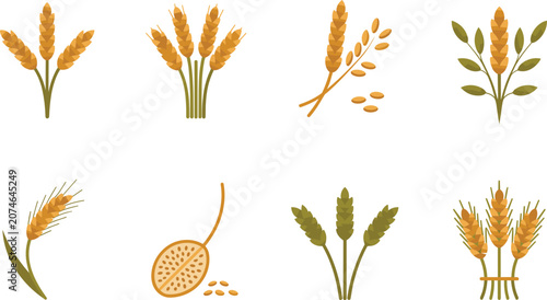Quadro su tela Rye illustration set featuring golden harvest ears, organic agricultural grain elements for healthy cereal baking layouts, flat vector crop icons