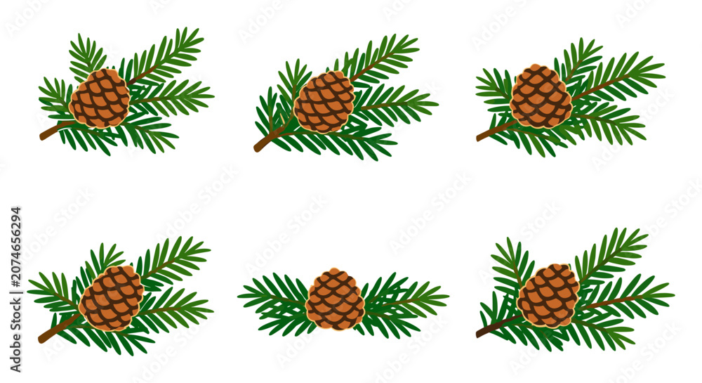 Fototapeta premium Pine cone branches illustrate natural elements for Christmas, winter and holiday décor on a white background
