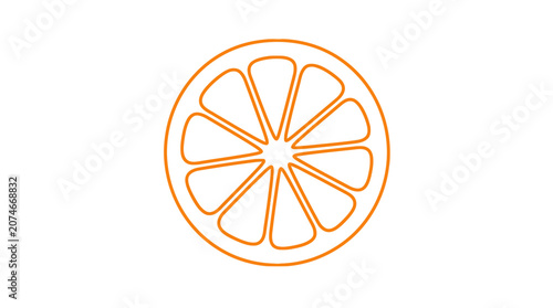 Foto Orange slice outline a citrus fruit vector illustration on a white background
