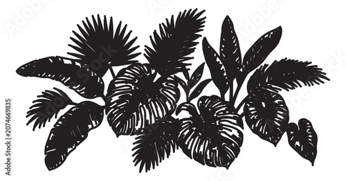 Quadro su tela Vintage tropical leaf silhouette vector, hand drawn jungle foliage arrangement,
