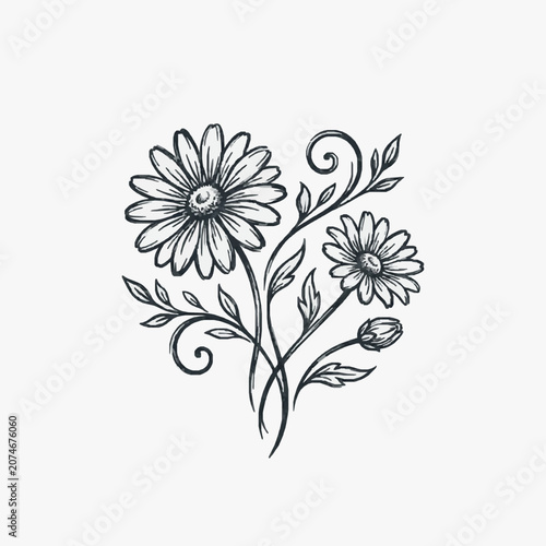 Hand drawn sketch of daisies with swirling vines and leaves.