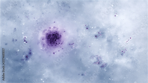Virus y bacterias