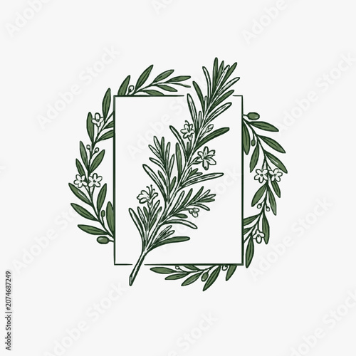 Minimalist line art illustration of a potted olive tree.