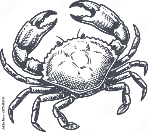 detailed crab illustration in black fill hand drawn style without white fills for marine or seafood designs