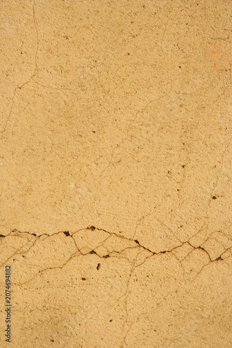 Warm beige wall with soft shadows of tree branches and leaves. Minimal natural background featuring sunlight and organic shadow patterns.