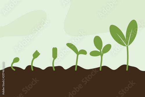 Flat vector illustration of a small green seedling growing cycle sprouting from healthy brown soil ground art, botany concept