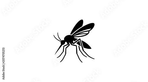 Fotografie Black mosquito insect close up.