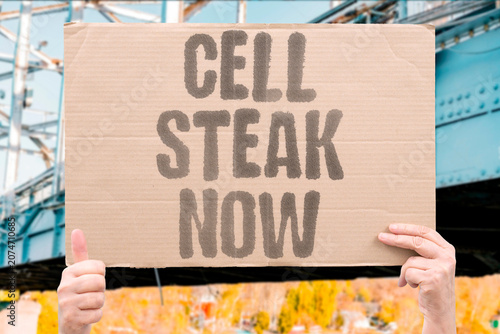 Konstfotografi "Cell steak now" Cultured meat is becoming a reality
