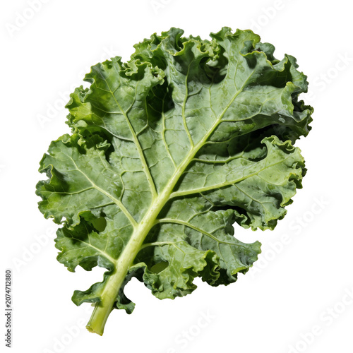 Fresh Green Kale Leaf on Transparent Background