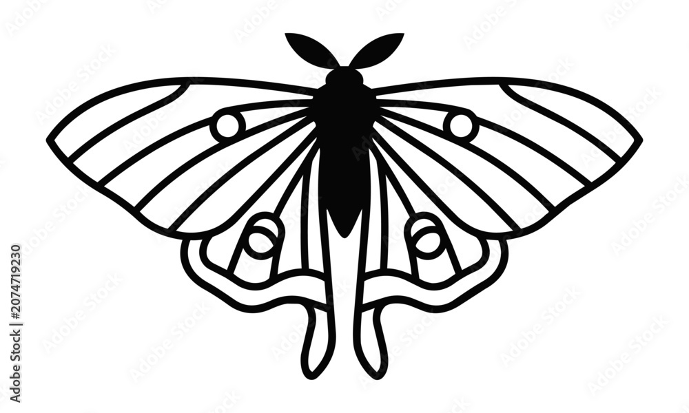 Fototapeta premium Minimalist black silhouette of a luna moth with symmetrical wing patterns and elegant contours isolated on a white background, nature design concept