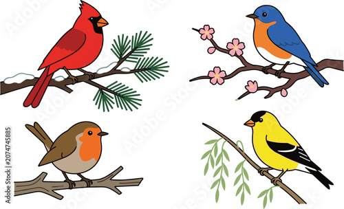 Colorful Songbird Vector Set Featuring Cardinal, Bluebird, Robin, Goldfinch, and Perched Wild Birds on Tree Branches with Nature Elements