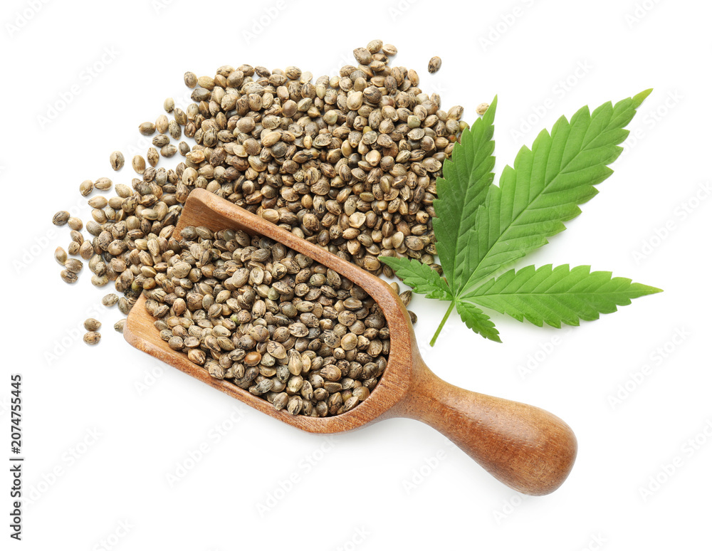 Fototapeta premium Hemp seeds in wooden scoop and fresh leaf isolated on white, top view