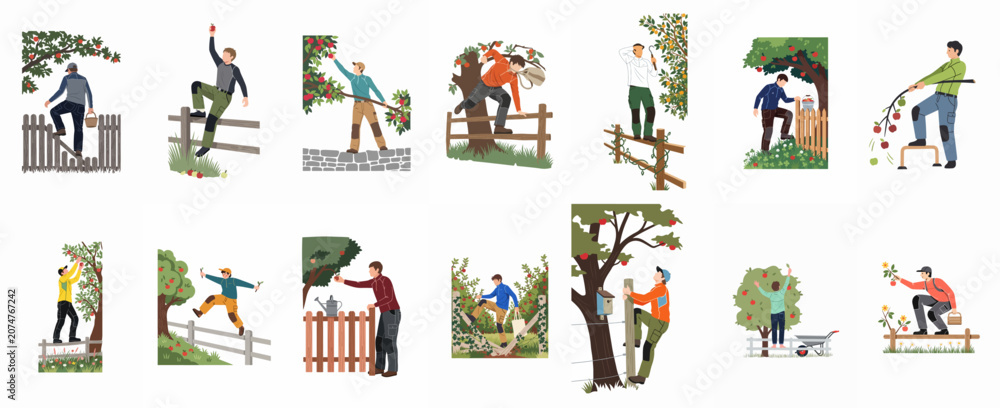 Naklejka premium Set of flat illustrations depicting men harvesting apples and picking fruit from trees while climbing fences in an outdoor garden or orchard setting.