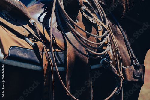 Canvastavla Western Saddle