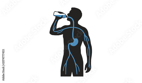 Healthy Lifestyle Man Drinking Water with Body Hydration Silhouette Vector