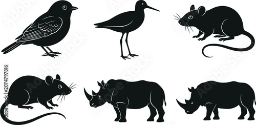Photography Wild Animals and Birds Silhouette Vector Graphic Pack Featuring Songbird, Long L