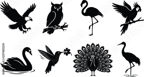 Photos Wild birds black silhouette collection vector set featuring eagle owl flamingo p