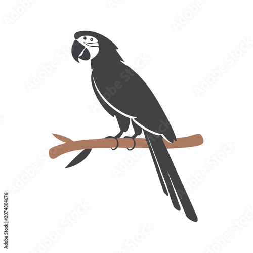 Black parrot perched on a branch vector illustration