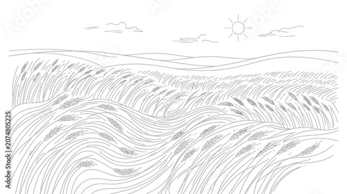 Fotografie Wheat Field Under Sunlight Illustration.